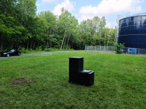 Odell Park, Fredericton - The Shadow Cow Returns - Fifth Wall Pt.II